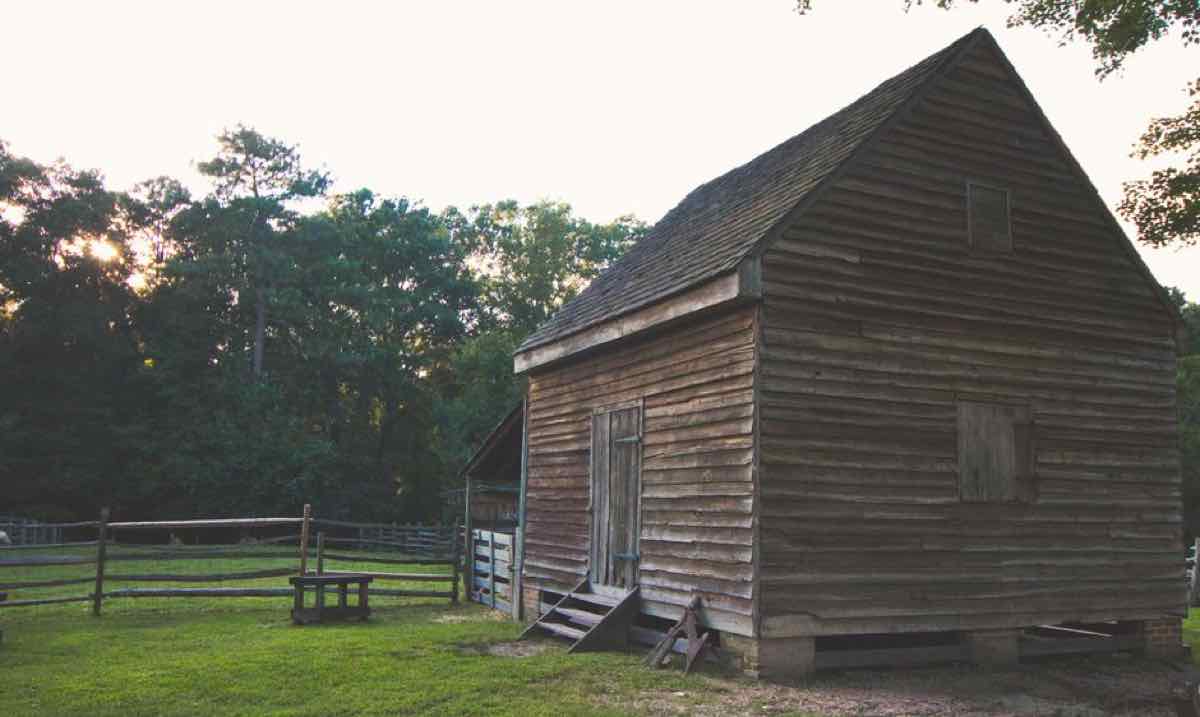 Weathered wooden shed with a shingled roof in a backyard setting